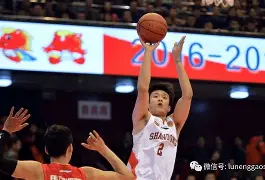 山东男篮今日消息